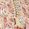 Blissful Beige Groom Sherwani